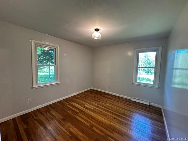 97 Cold Spring Road Stanfordville, NY 12581 - Photo 12 of 16 Hardwood flooring, painted walls, window with trim, and a ceiling-mounted light fixture