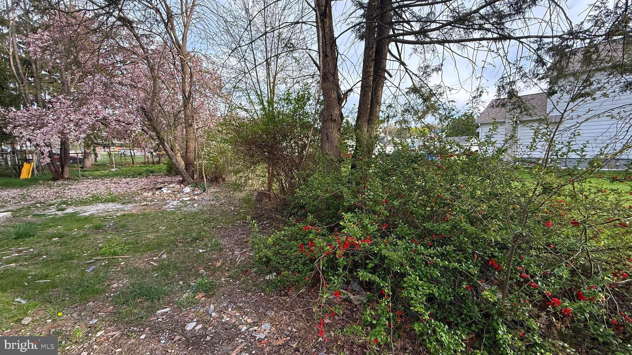 210 Cherry Street Duryea, PA 18642 - Photo 23 of 26 a view of a yard with plants and trees