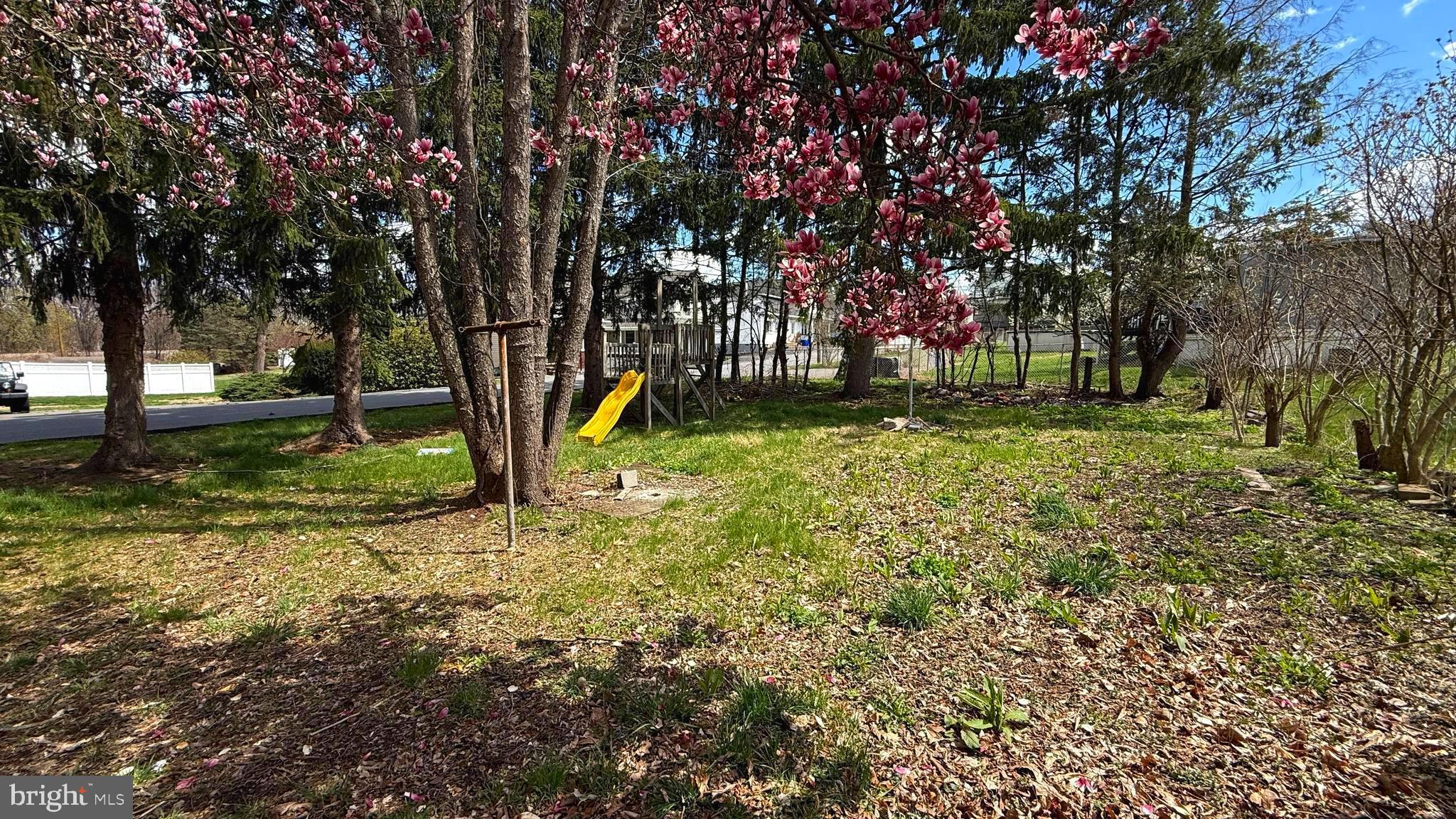 210 Cherry Street Duryea, PA 18642 - Photo 25 of 26 a view of a yard with a tree