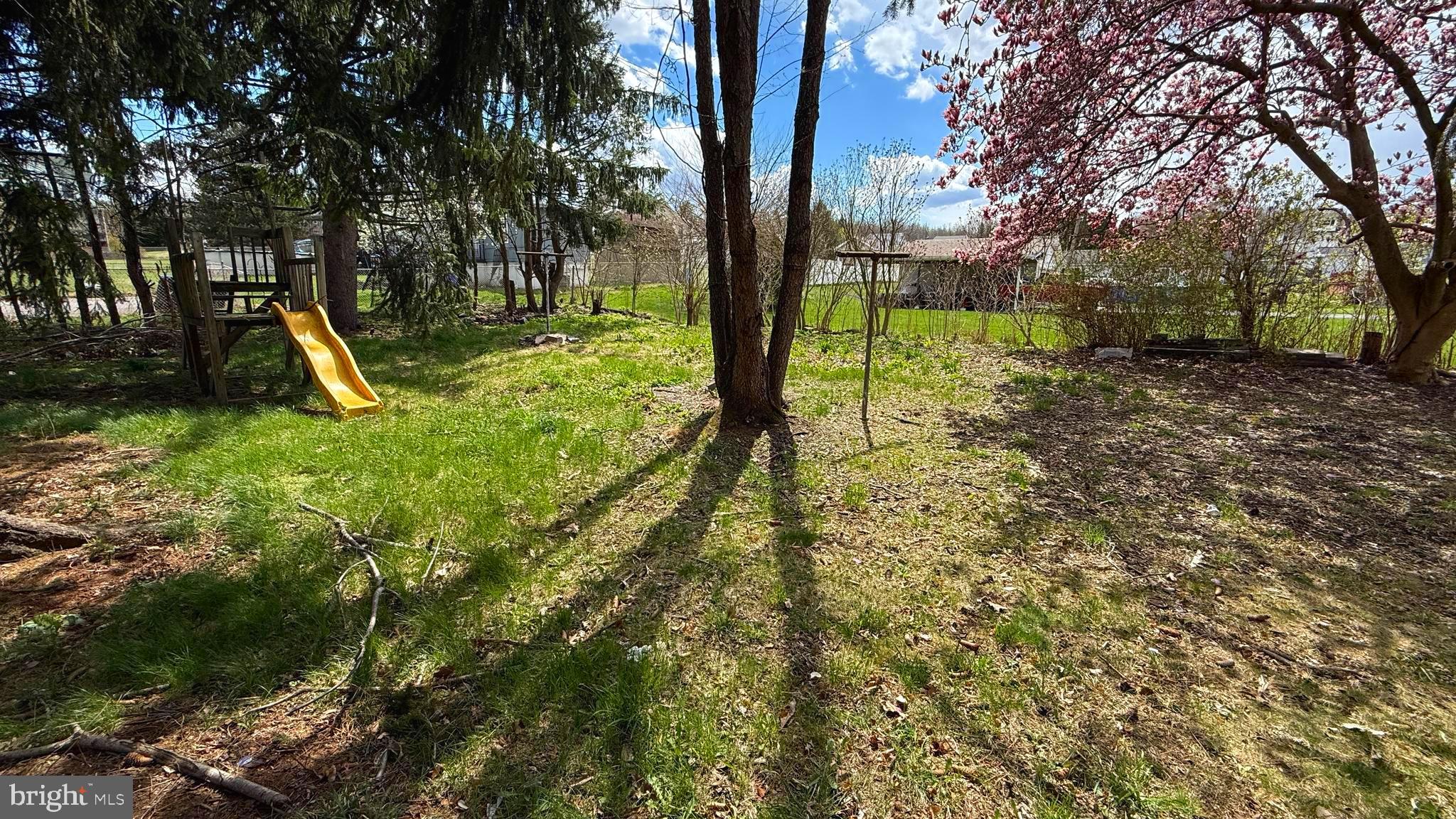 210 Cherry Street Duryea, PA 18642 - Photo 26 of 26 a view of a park with large trees