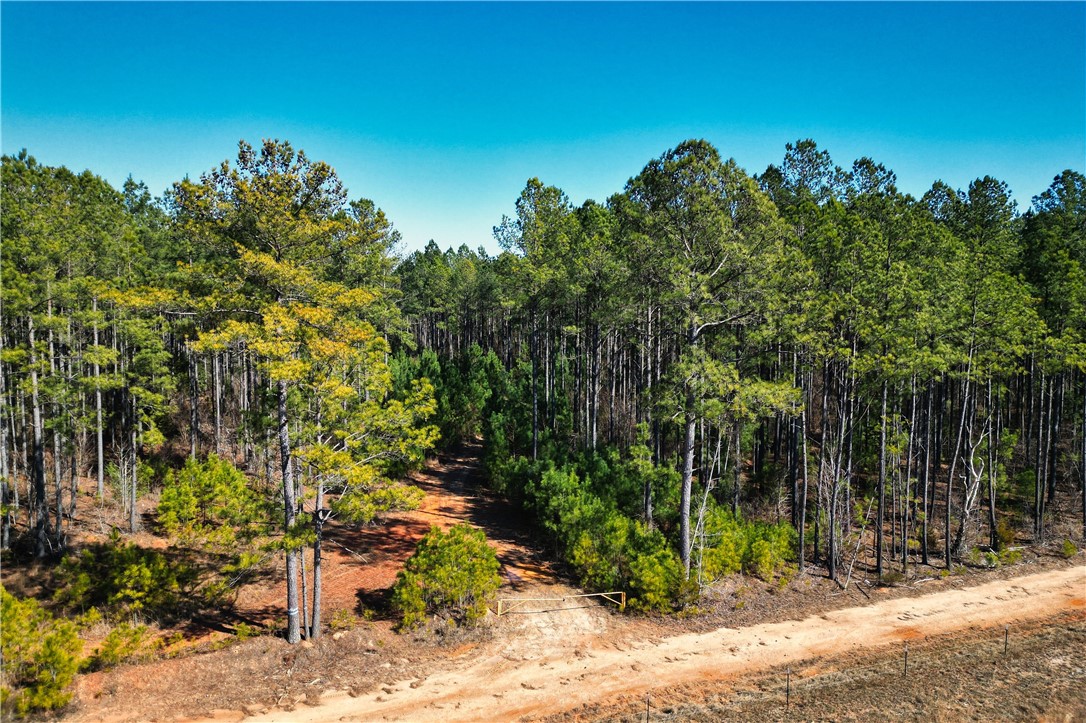 0 Hanson Road Bradley, SC 29819 - Photo 1 of 50