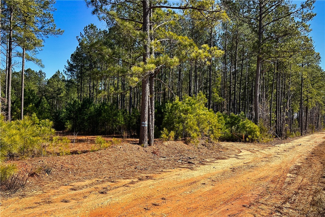 0 Hanson Road Bradley, SC 29819 - Photo 42 of 50