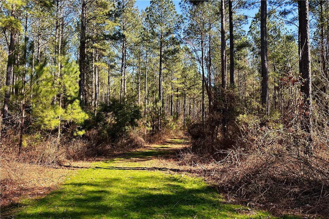 0 Hanson Road Bradley, SC 29819 - Photo 5 of 50