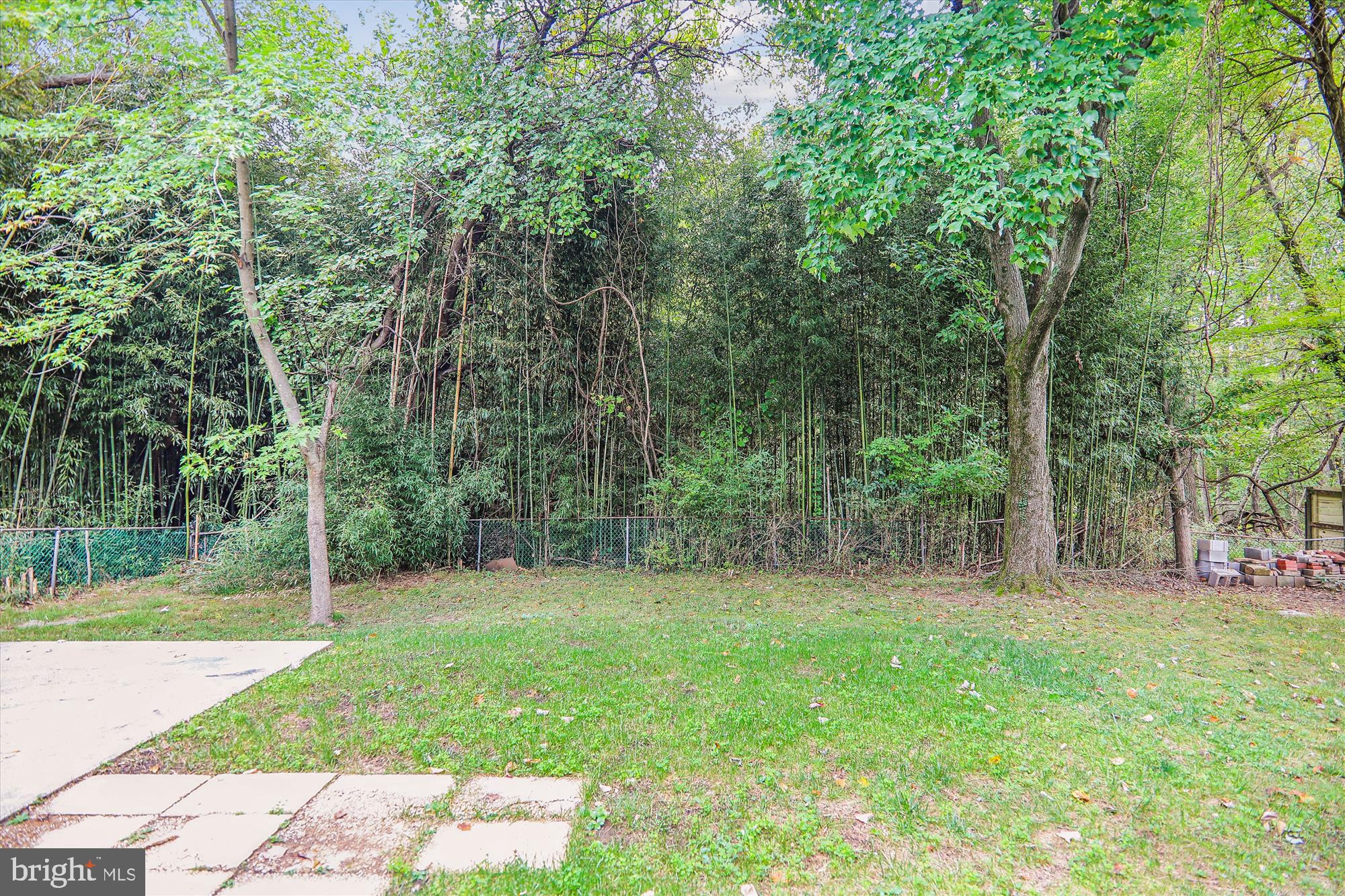 1507 Ladd Street Silver Spring, MD 20902 - Photo 44 of 62 Back Yard Backs to Park