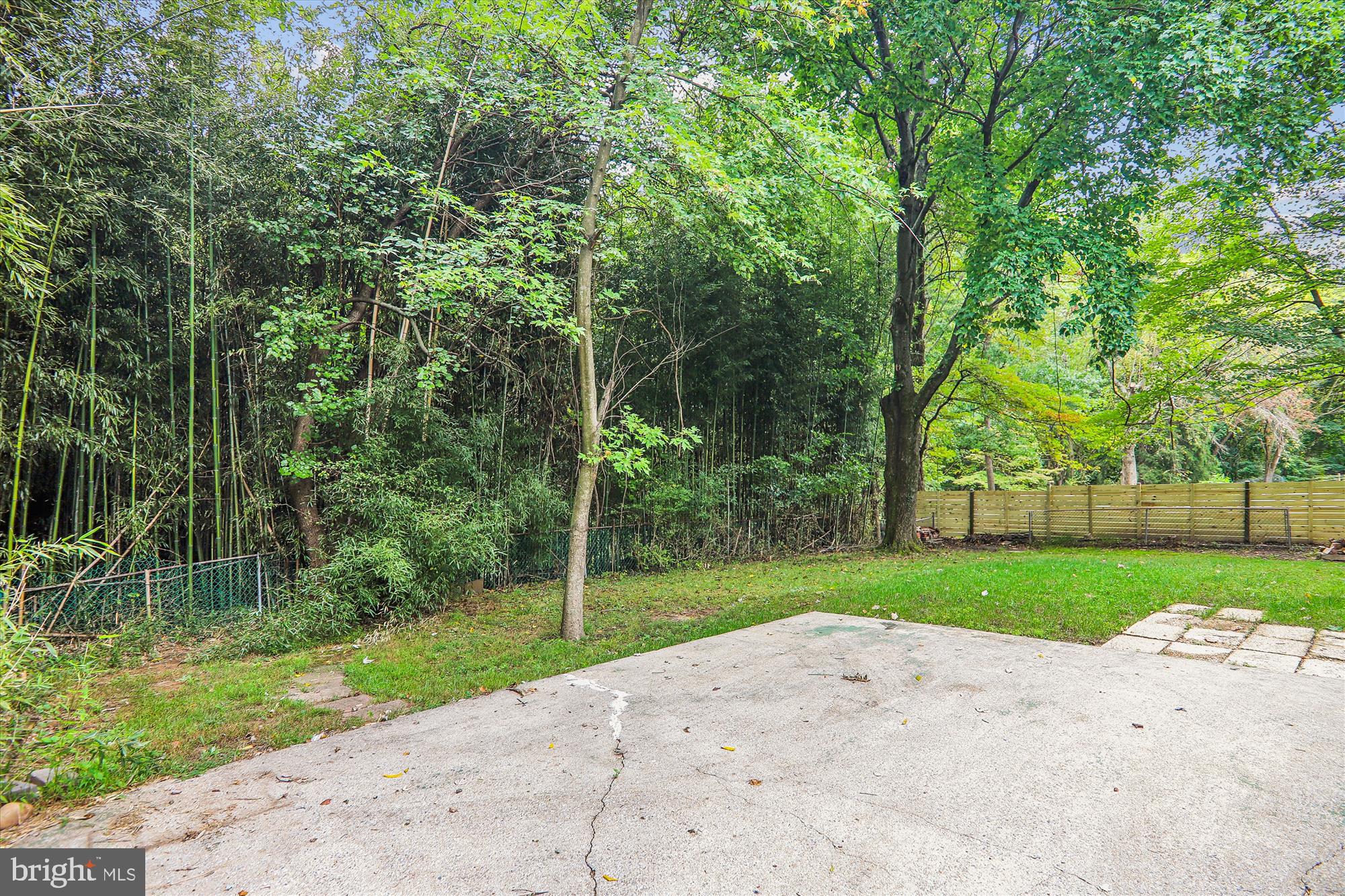 1507 Ladd Street Silver Spring, MD 20902 - Photo 45 of 62 Back Yard Backs to Park