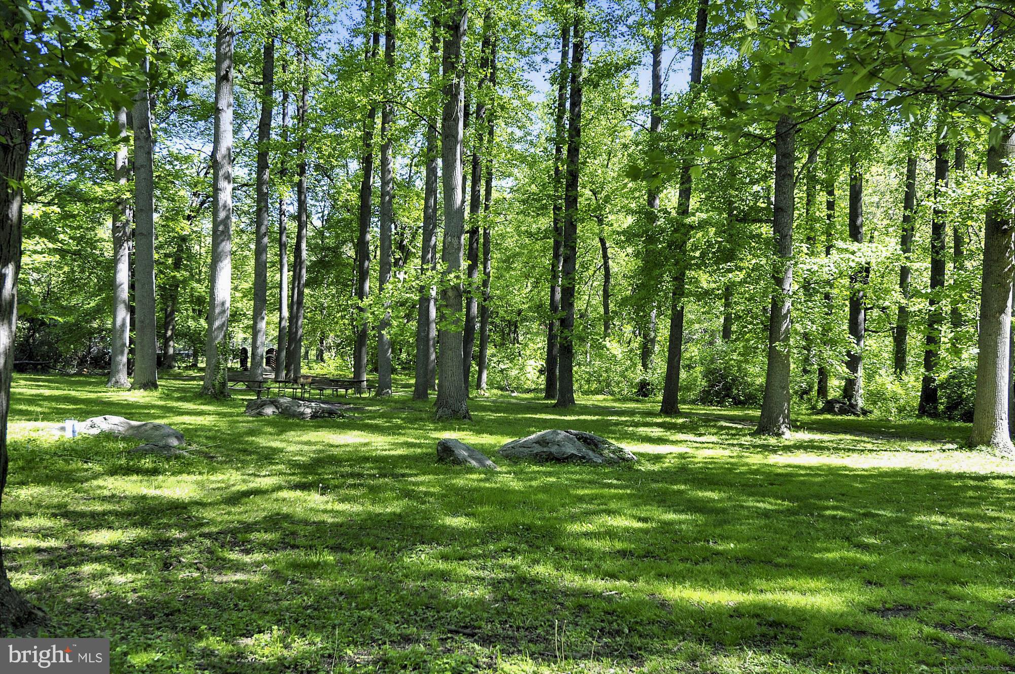 1507 Ladd Street Silver Spring, MD 20902 - Photo 52 of 62 Sligo Creek Park