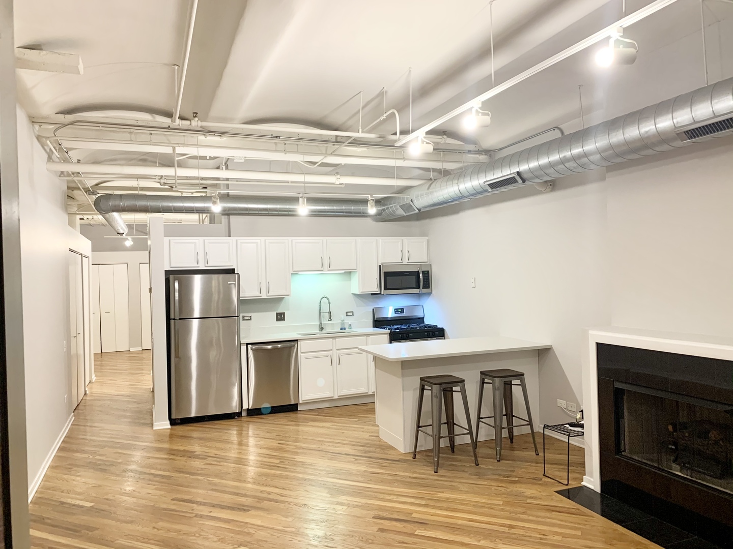 500 South Clinton Street, Unit 540 Chicago, IL 60607 - Photo 4 of 13