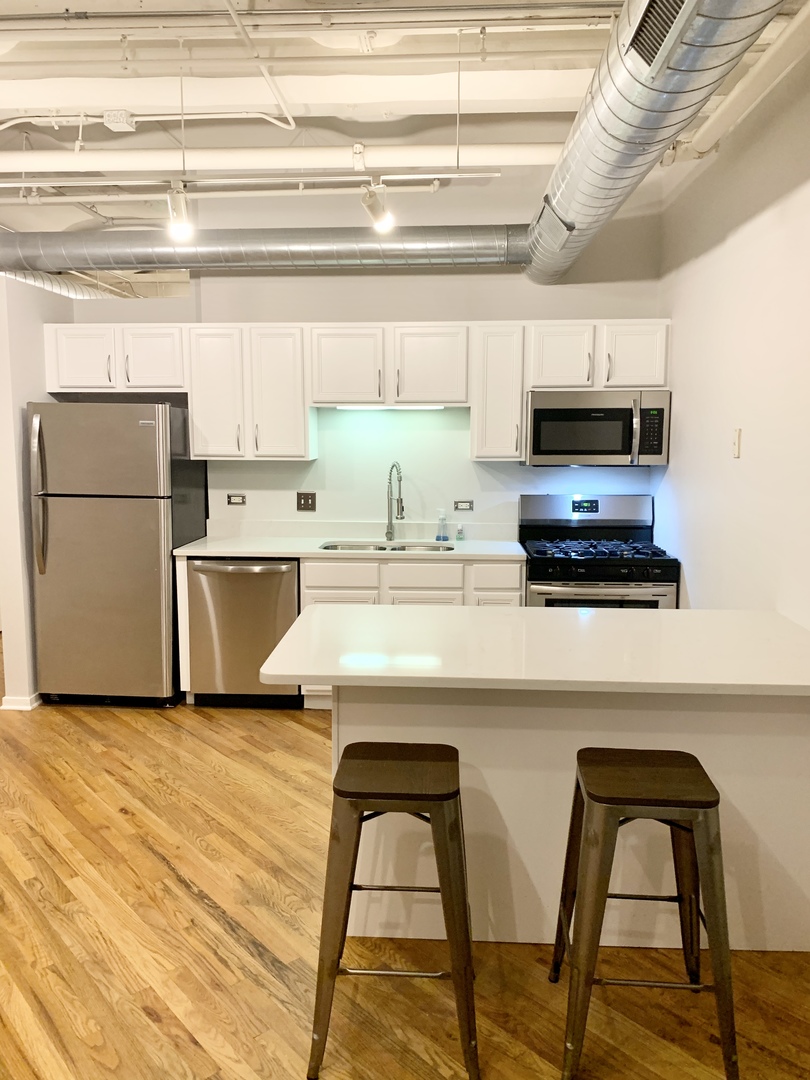 500 South Clinton Street, Unit 540 Chicago, IL 60607 - Photo 5 of 13