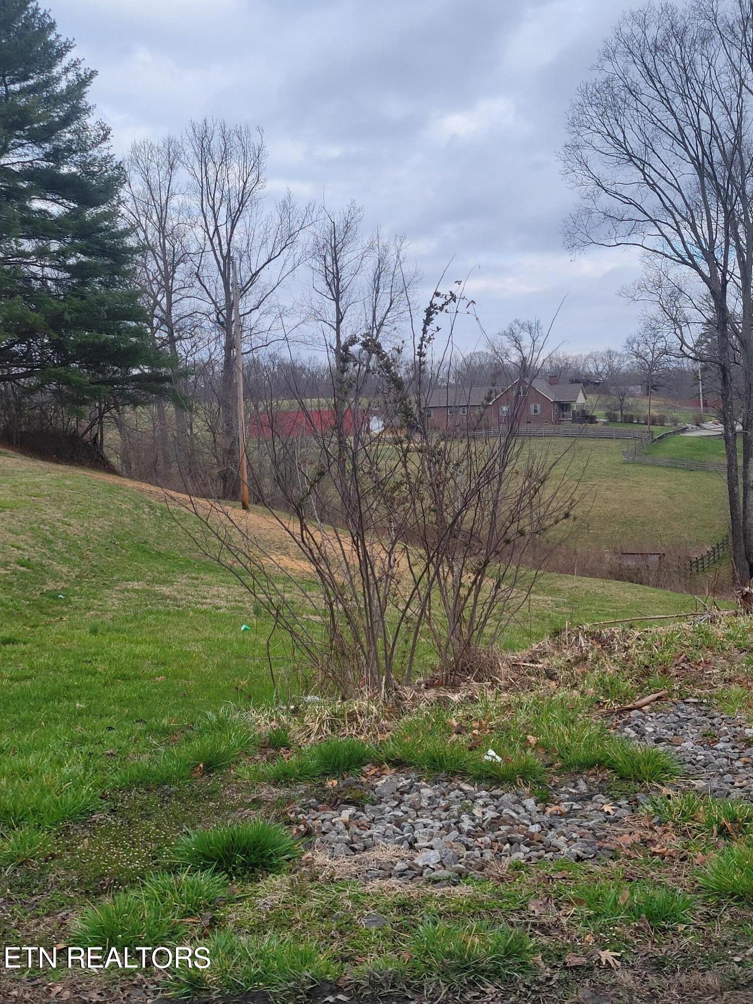 600 Boles Road Robbins, TN 37852 - Photo 11 of 14 20240304_092856