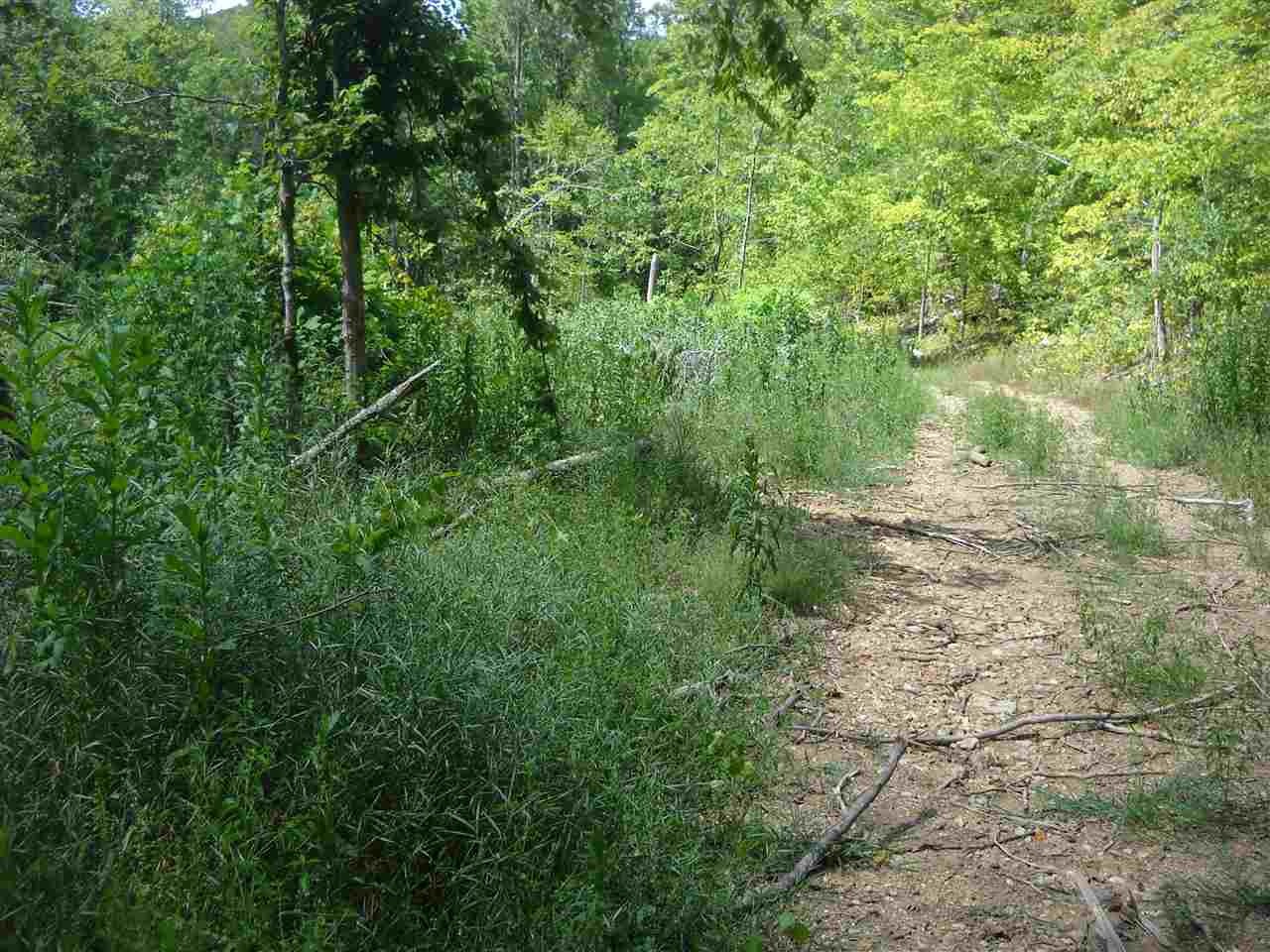 0 Geren Sub Lane Decatur, TN 37322 - Photo 8 of 8 Gallery Image 8