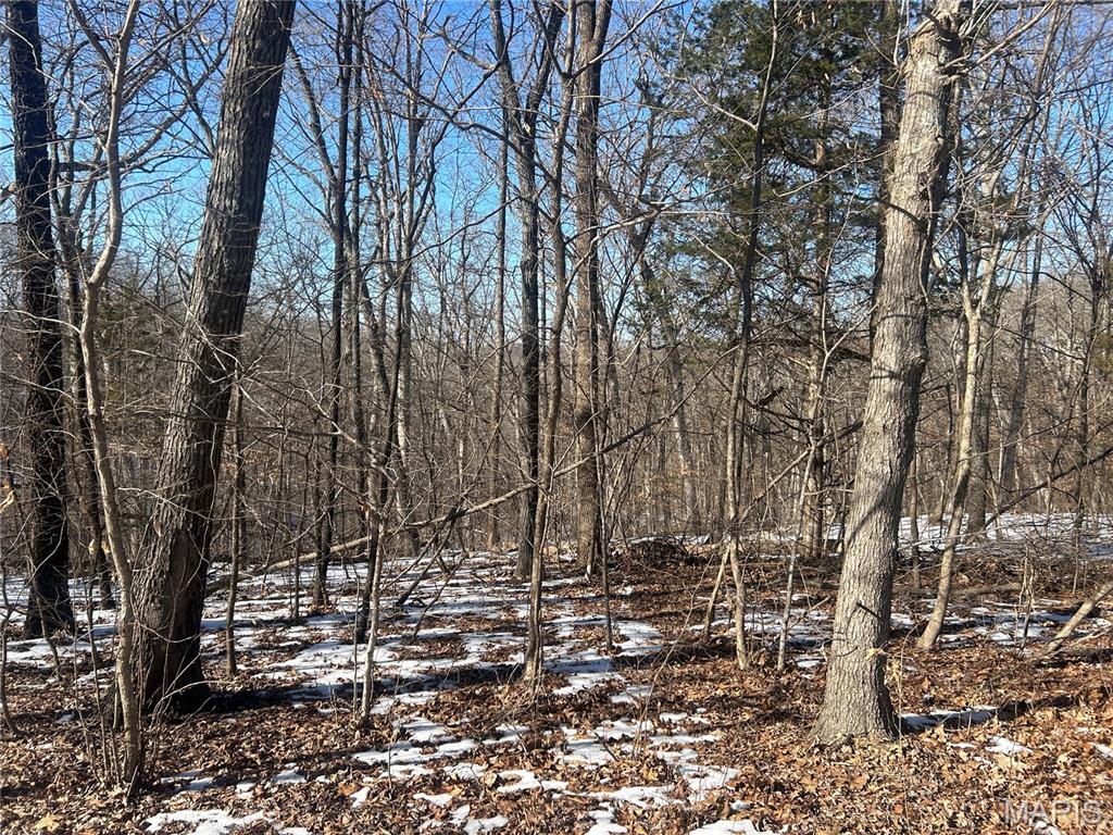 19227 Melrose Road Glencoe, MO 63038 - Photo 11 of 14