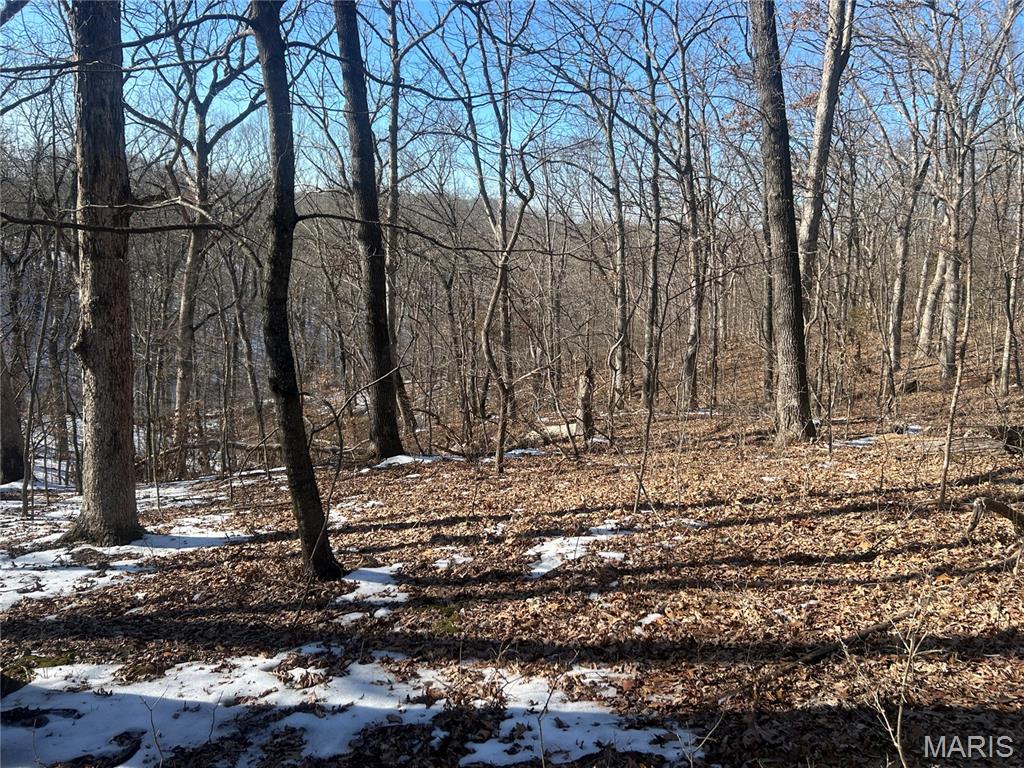 19227 Melrose Road Glencoe, MO 63038 - Photo 12 of 14