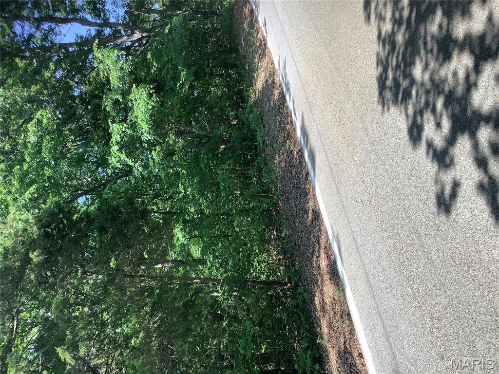 19227 Melrose Road Glencoe, MO 63038 - Photo 3 of 14