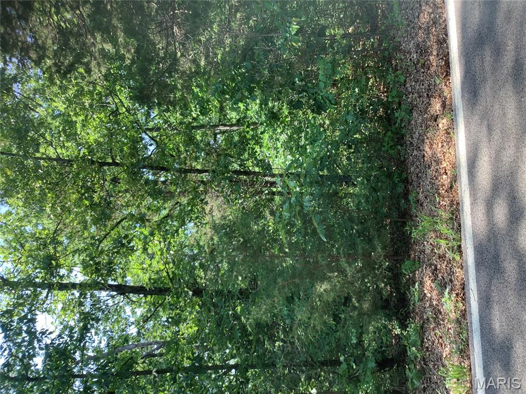 19227 Melrose Road Glencoe, MO 63038 - Photo 4 of 14