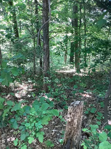 $109,900 | 19227 Melrose Road, Glencoe, MO 63038