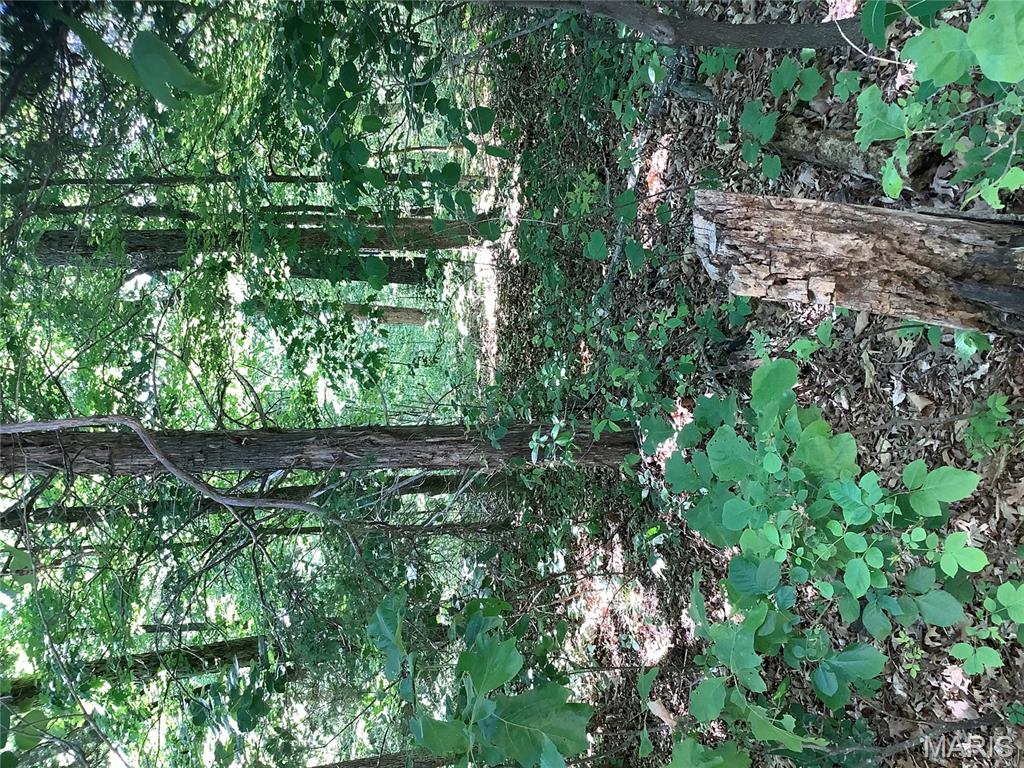 19227 Melrose Road Glencoe, MO 63038 - Photo 6 of 14