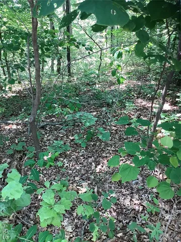 $109,900 | 19227 Melrose Road, Glencoe, MO 63038