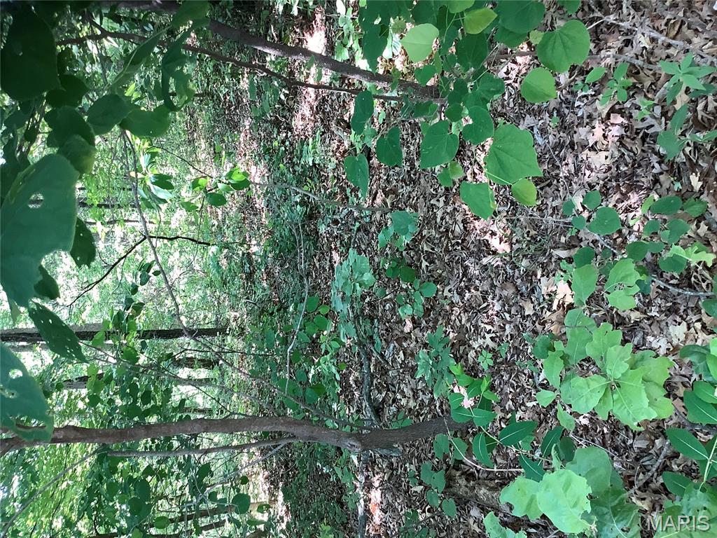 19227 Melrose Road Glencoe, MO 63038 - Photo 7 of 14