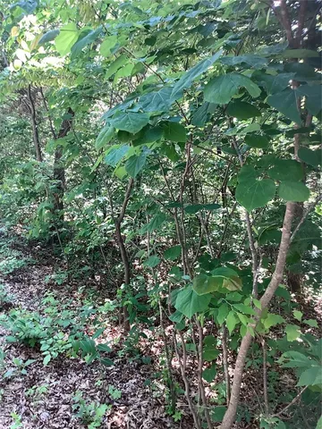 $109,900 | 19227 Melrose Road, Glencoe, MO 63038