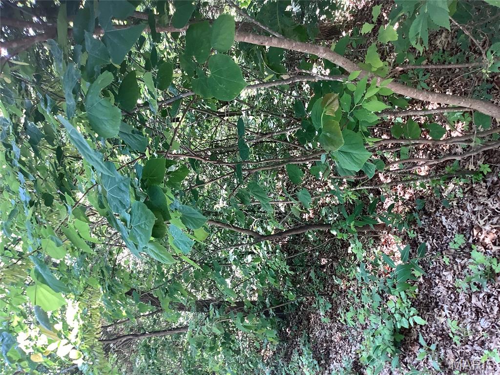 19227 Melrose Road Glencoe, MO 63038 - Photo 8 of 14