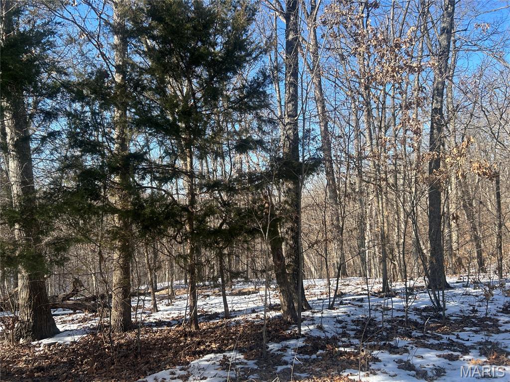 19227 Melrose Road Glencoe, MO 63038 - Photo 10 of 14