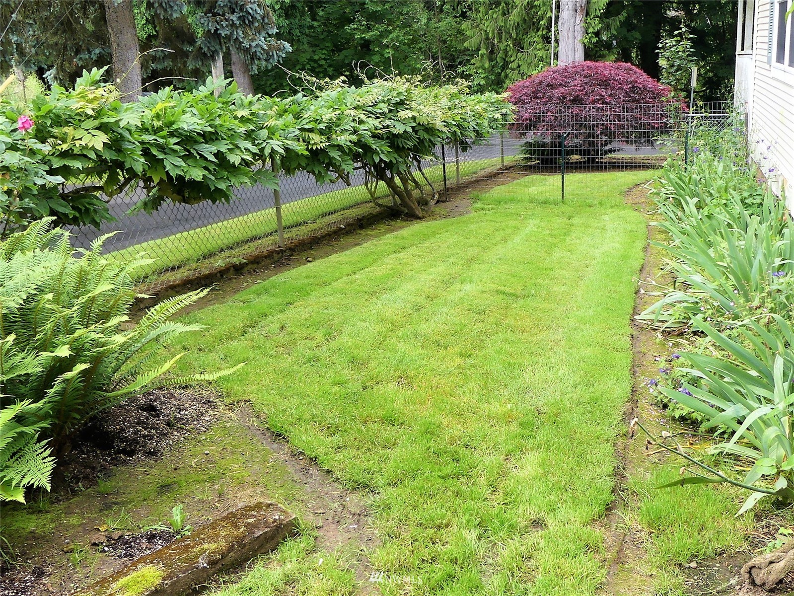 110 Conger Road Castle Rock, WA 98611 - Photo 21 of 23 Gallery Image 21