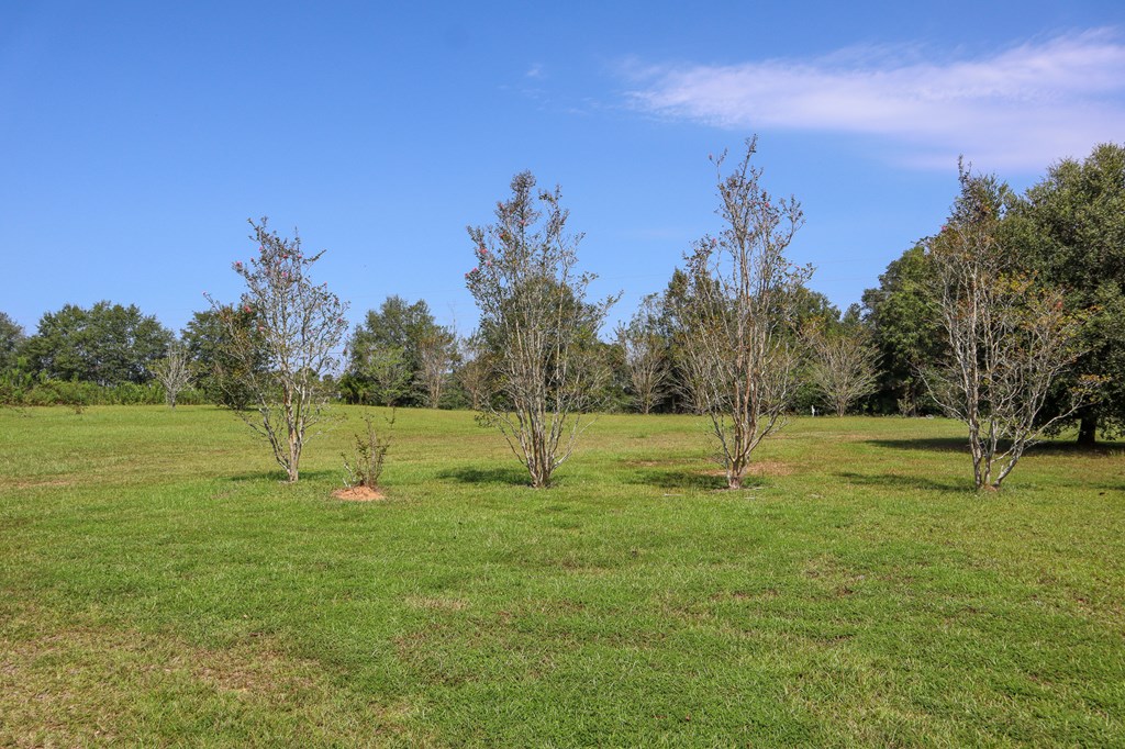 4951 Airport Road Hartford, AL 36344 - Photo 32 of 35 Gallery Image 32