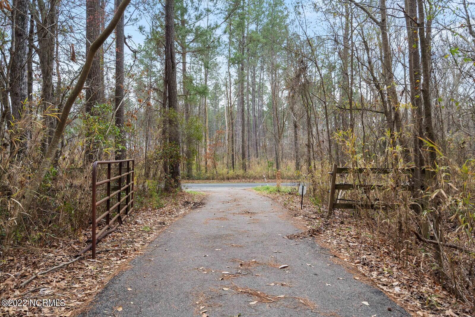 3116 Shiloh Road Willard, NC 28478 - Photo 3 of 47 65_zfsdff24_mls