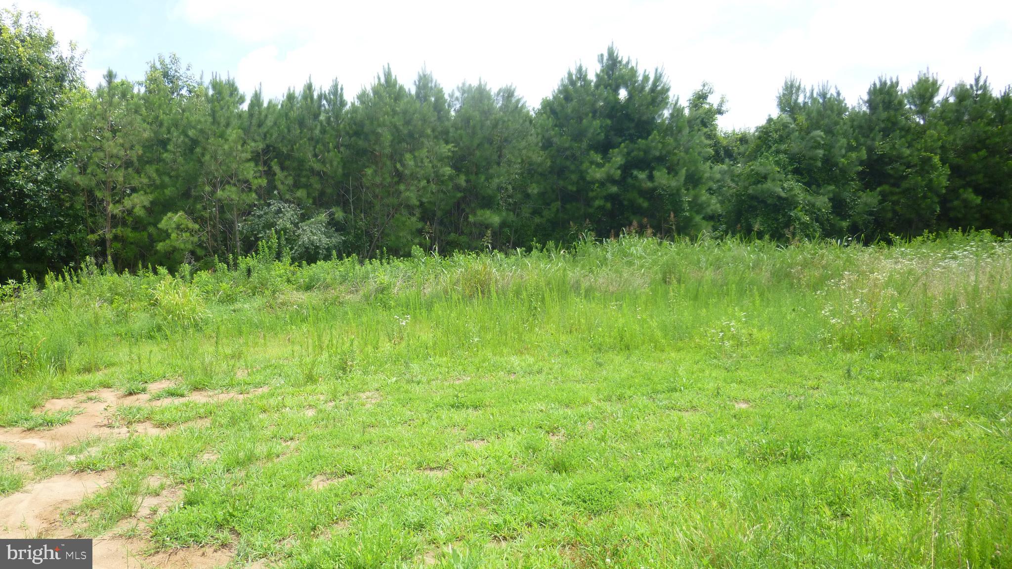 Santa Cruz Road Montross, VA 22520 - Photo 2 of 5 Gallery Image 2