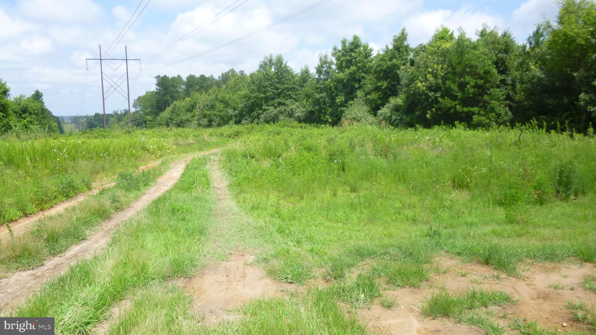 Santa Cruz Road Montross, VA 22520 - Photo 4 of 5 Gallery Image 4