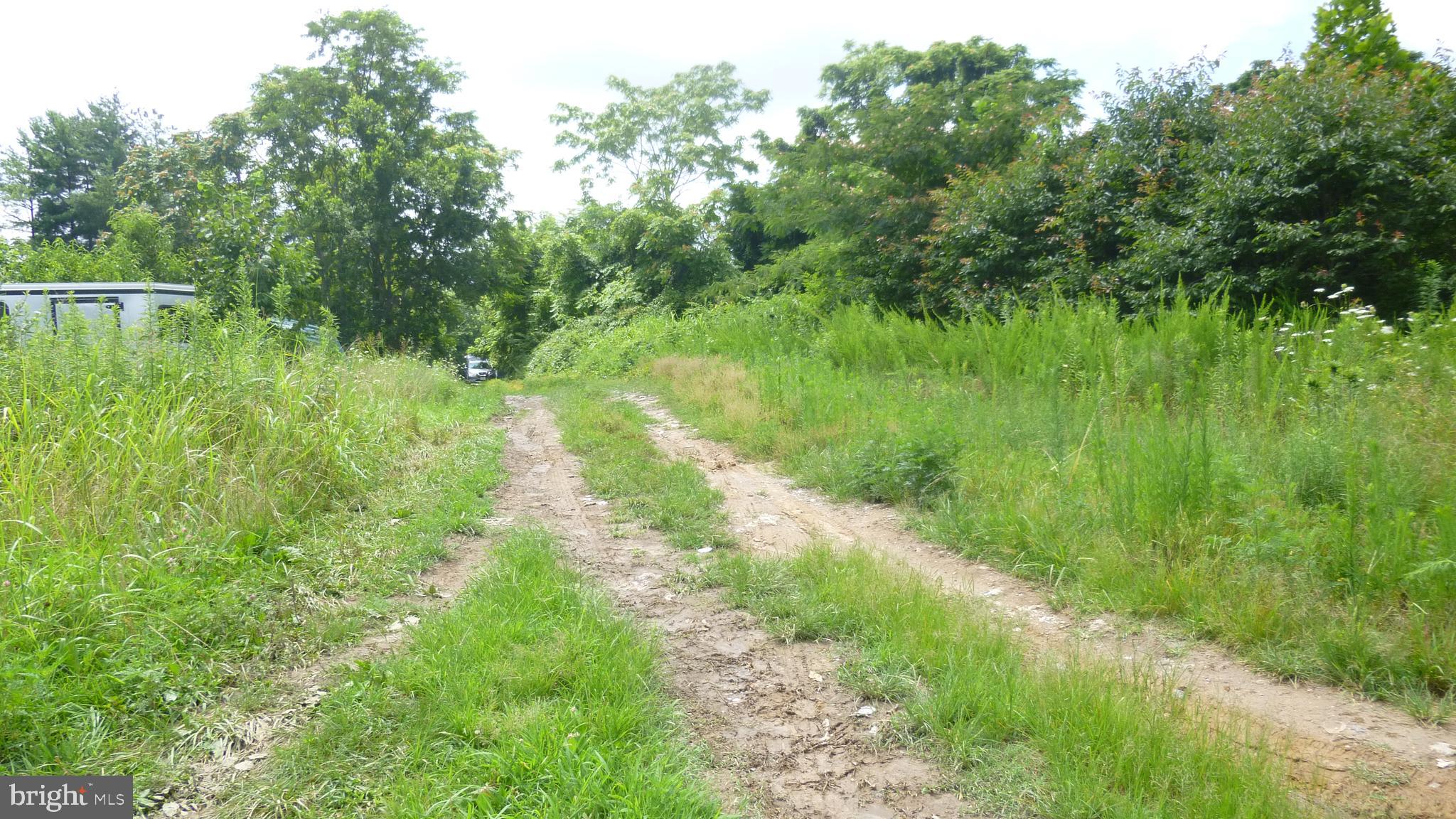 Santa Cruz Road Montross, VA 22520 - Photo 5 of 5 Gallery Image 5