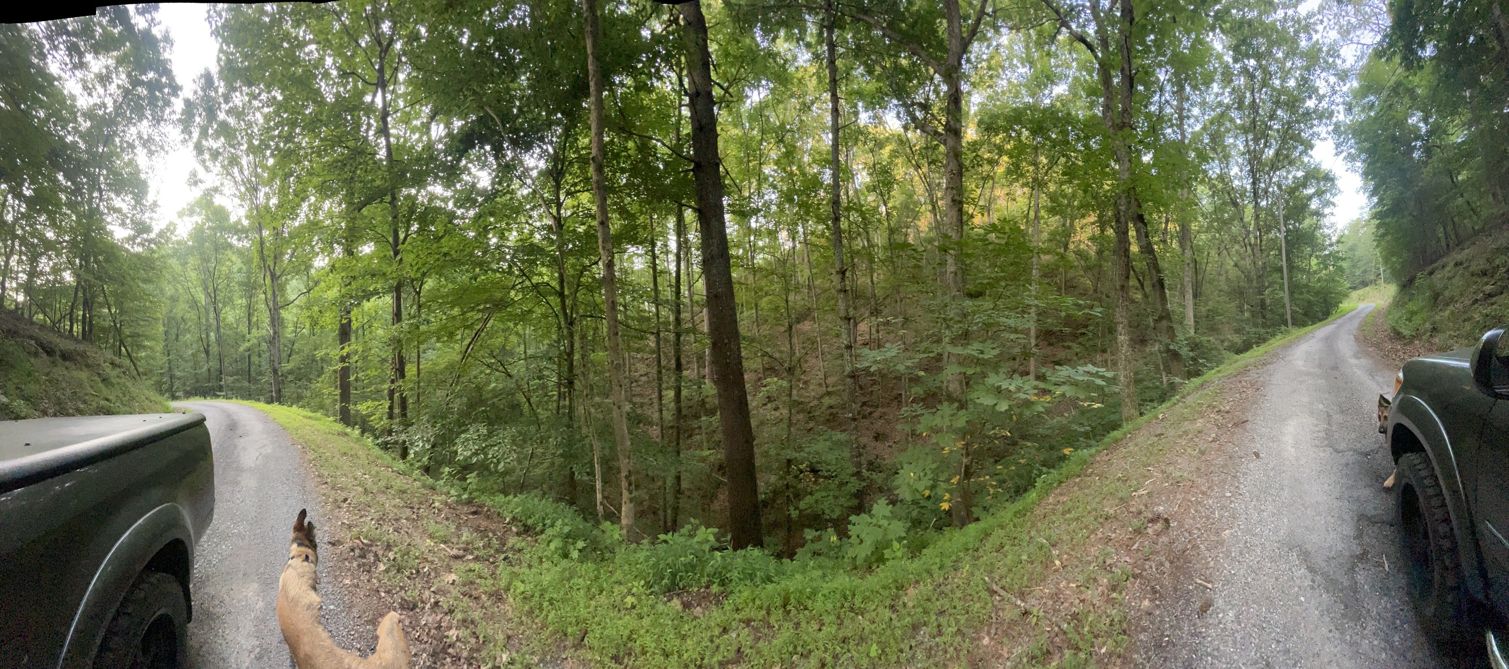 725 Anderson Lane Ranger, GA 30734 - Photo 2 of 12 a view of an outdoor space with a lake view