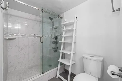 a bathroom with a shower a toilet and a sink