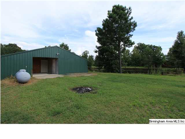 749 Dove Welch Road Wellington, AL 36279 - Photo 21 of 32