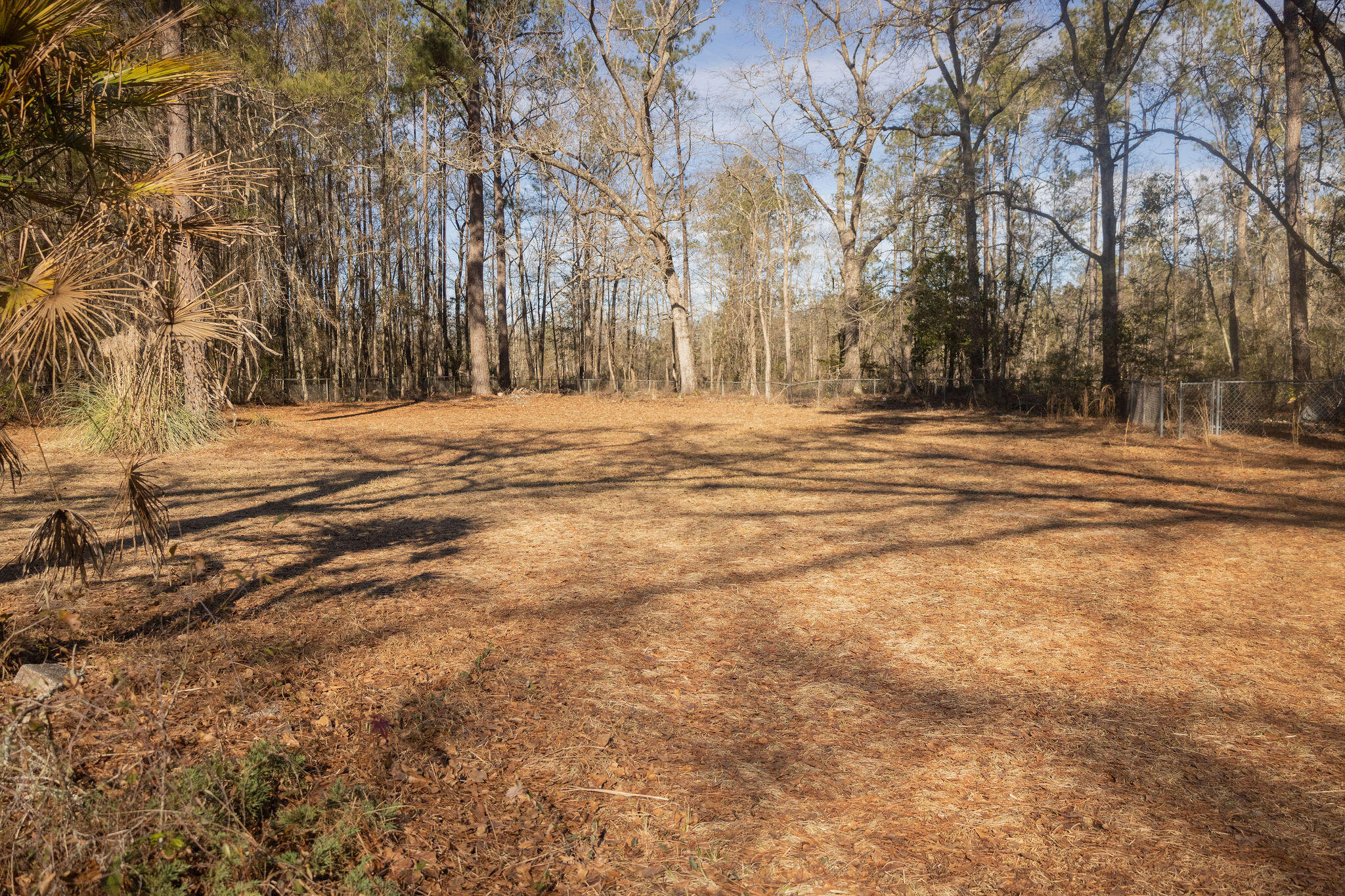 264 State Rd S-15-233 Walterboro, SC 29488 - Photo 15 of 15 3T6A9224
