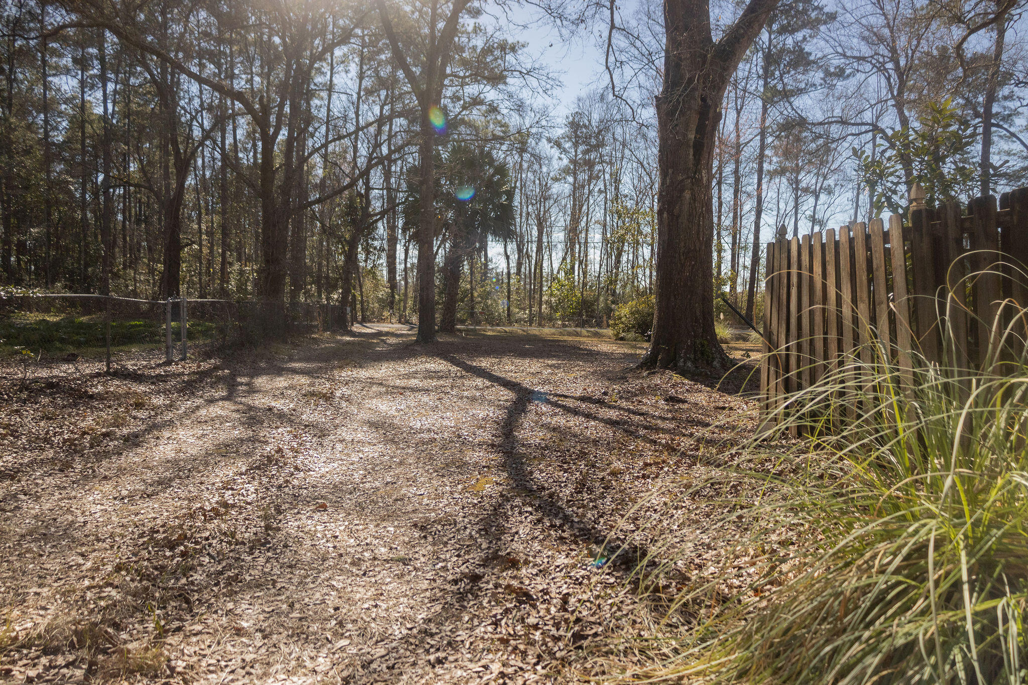 264 State Rd S-15-233 Walterboro, SC 29488 - Photo 4 of 15 3T6A9222