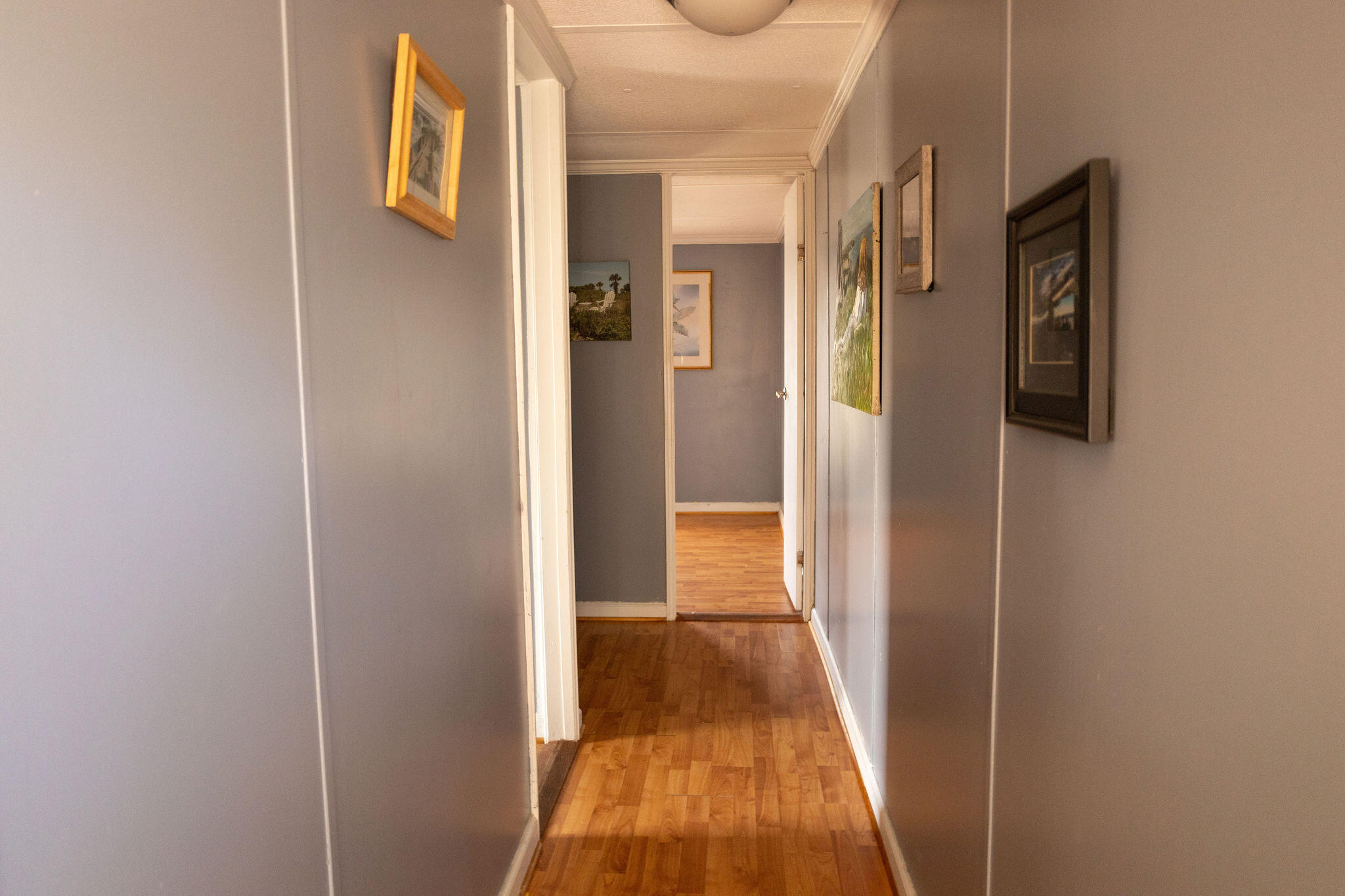 264 State Rd S-15-233 Walterboro, SC 29488 - Photo 10 of 15 3T6A9218