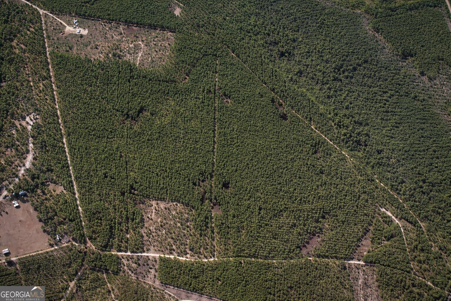 0 Long Ford Road Jesup, GA 31546 - Photo 3 of 7