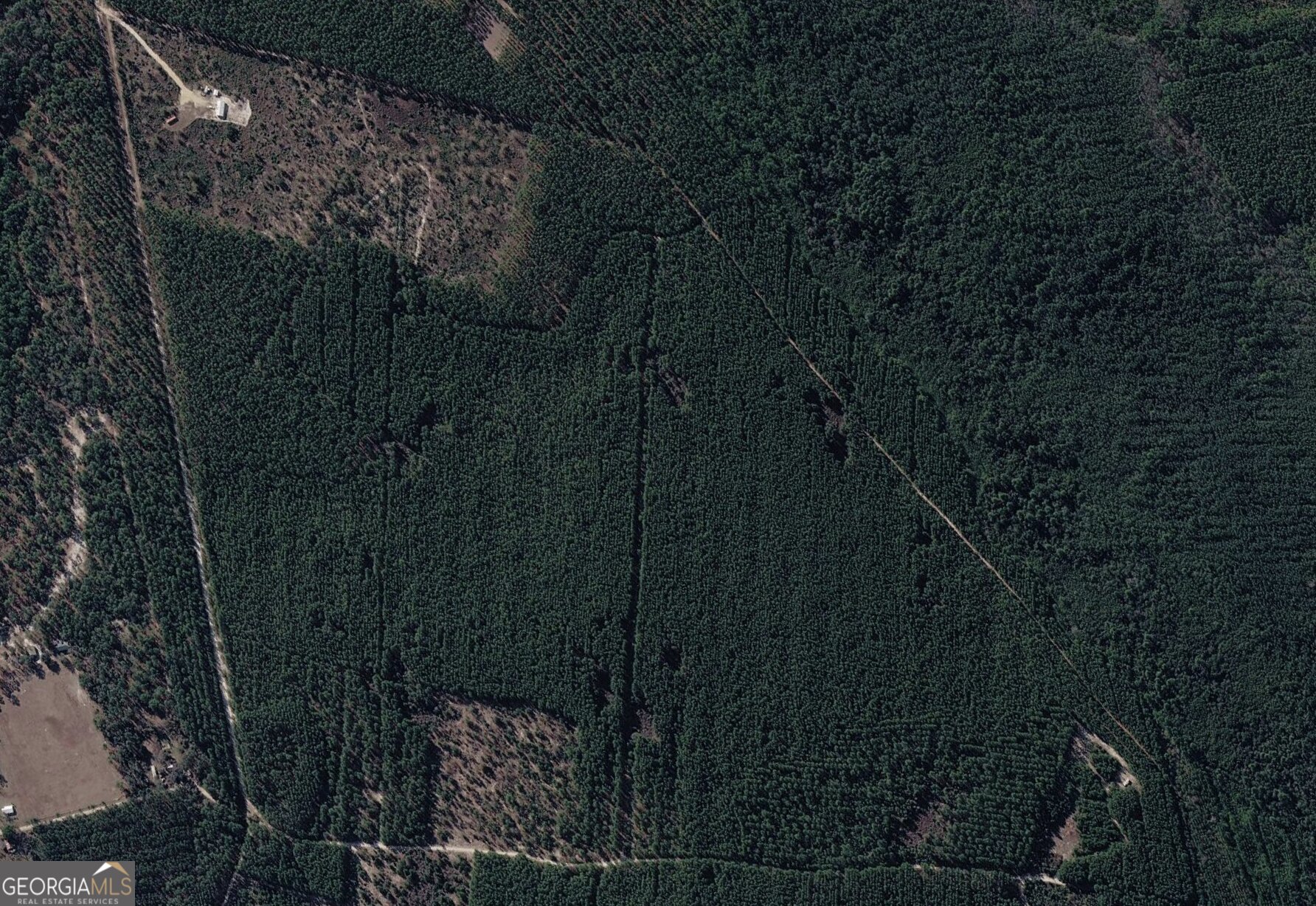 0 Long Ford Road Jesup, GA 31546 - Photo 4 of 7