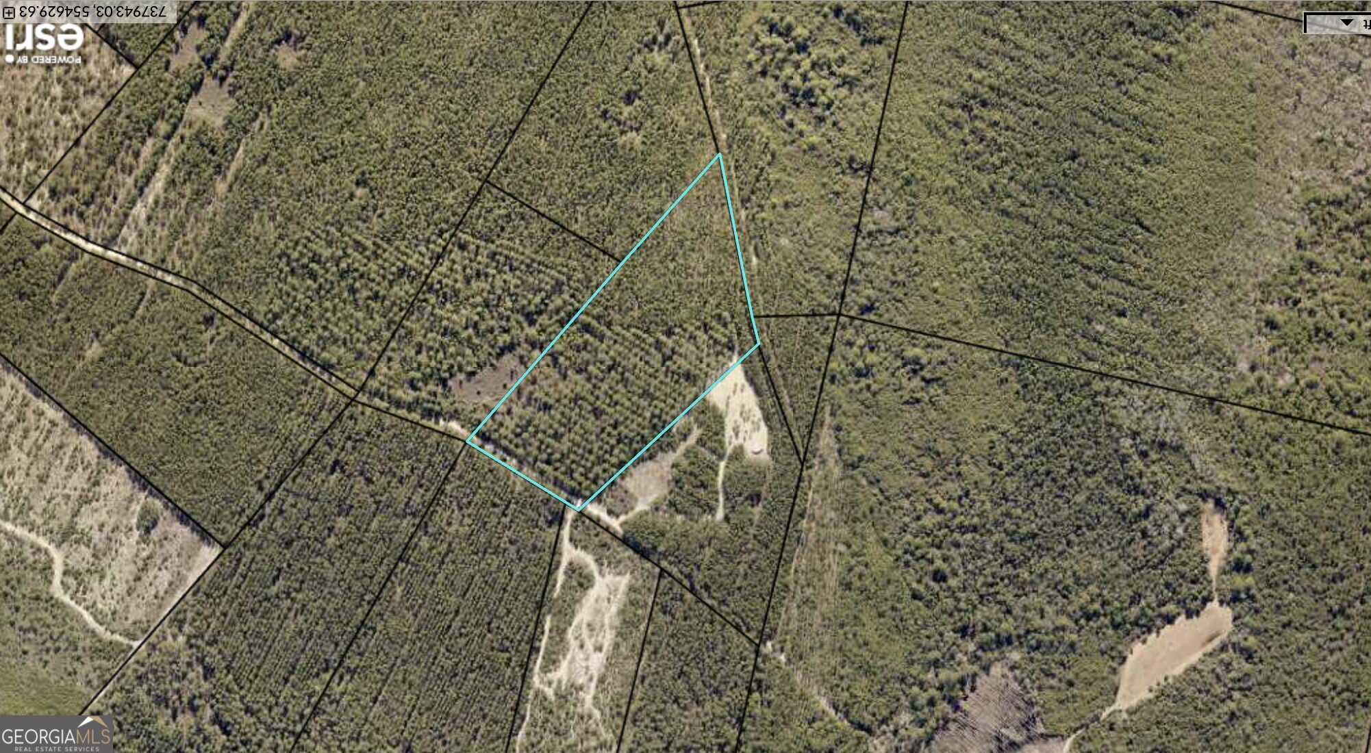 0 Long Ford Road Jesup, GA 31546 - Photo 7 of 7