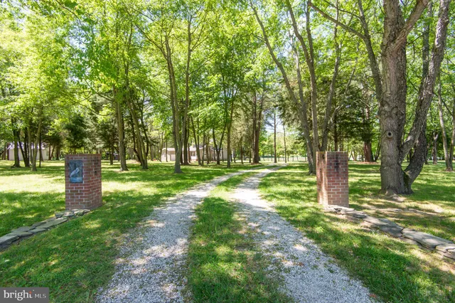 a view of a trees with a yard