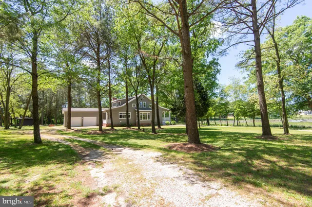 a view of a park with large trees