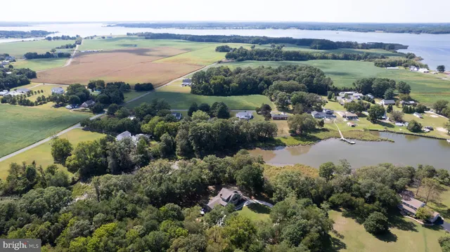 an aerial view of green landscape with trees houses and lake view