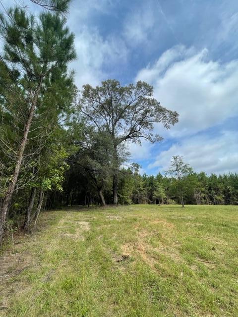 117 Oak Estates Way Ridgeville, SC 29472 - Photo 11 of 26 IMG_2221