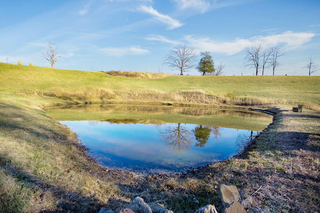 1006 Heizer Hill Road Wellington, KY 40387 - Photo 23 of 29 0V6A9890