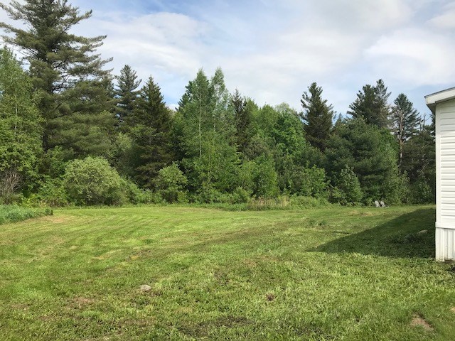 203 Violet Page Road Shrewsbury, VT 05738 - Photo 5 of 40