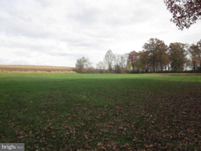 419 Reckord Road Fallston, MD 21047 - Photo 11 of 28 a view of a big yard with a house