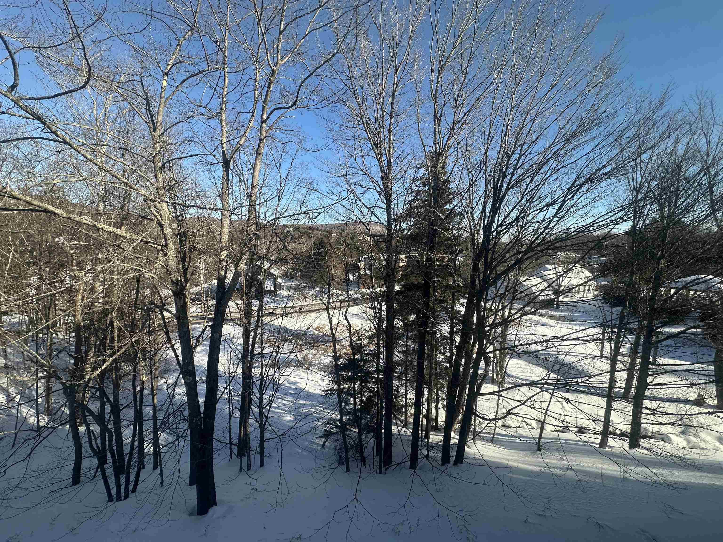 4 Northbrook Village Road, Unit B33 West Dover, VT 05356 - Photo 5 of 37