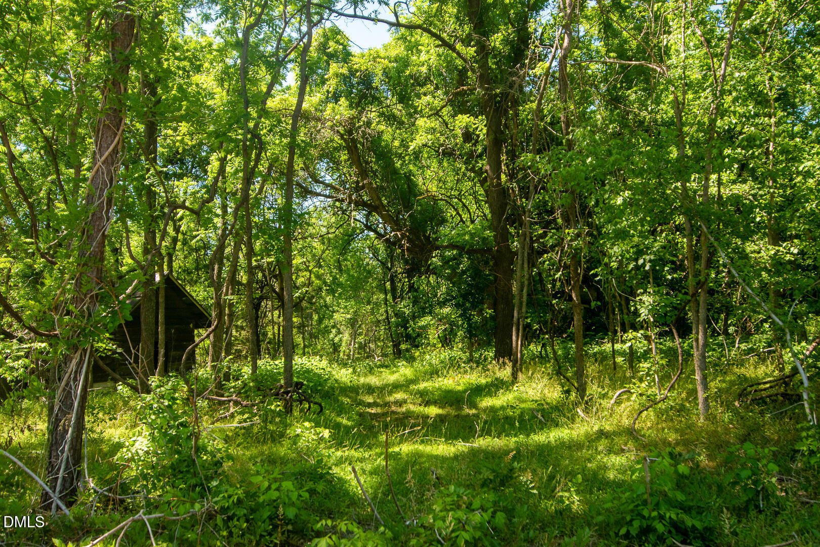 201 Briggs Road Hurdle Mills, NC 27541 - Photo 36 of 43