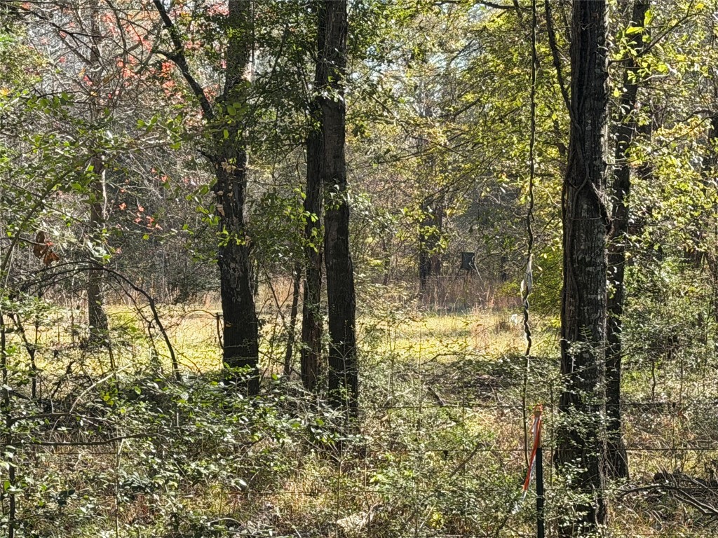 301 Tract 7 Road Oakwood, TX 75855 - Photo 11 of 14 a view of lake view